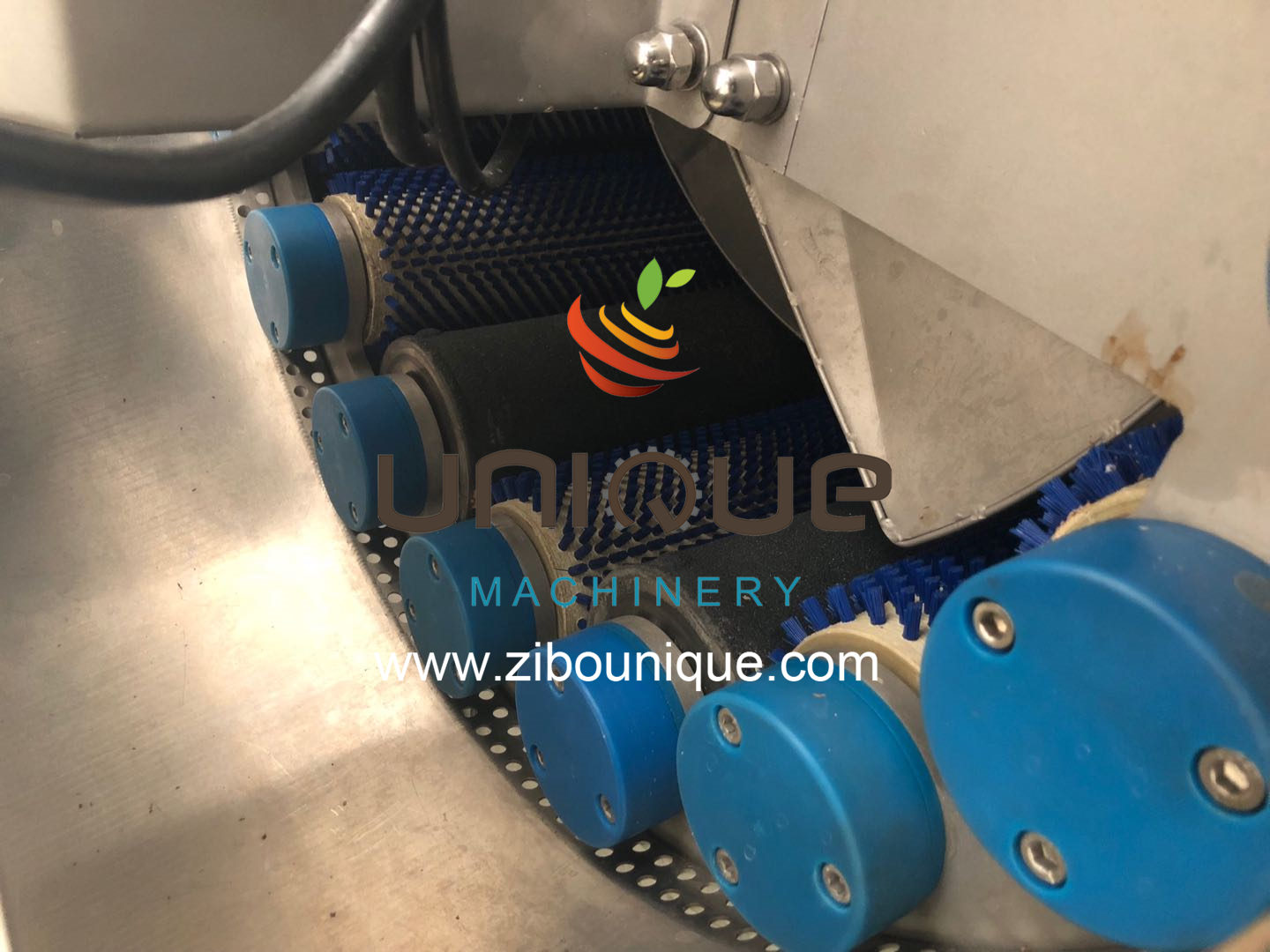 Potato Peeling and Washing Machine 2.25 kw for Food Processing Industries Efficiency