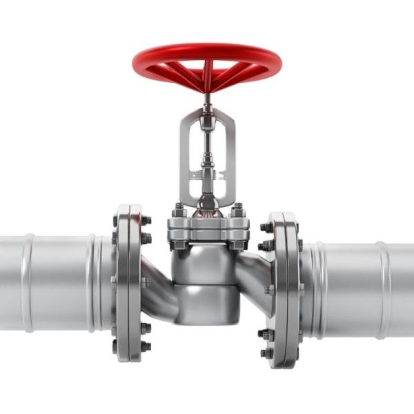 Stainless Steel Pn25 DN 50 Wafer Lift Single Plate Swing Check Valve for Drain