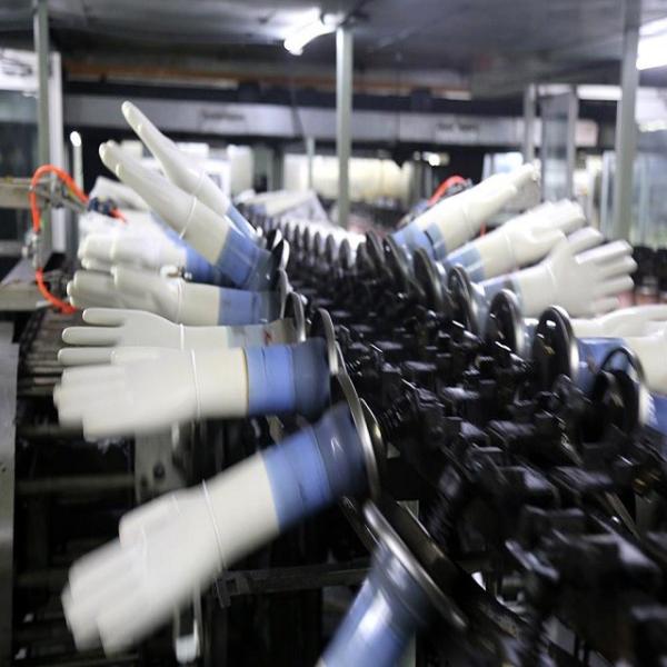 Medical Latex Glove Production Line Making Machine Egypt Customizable Steel