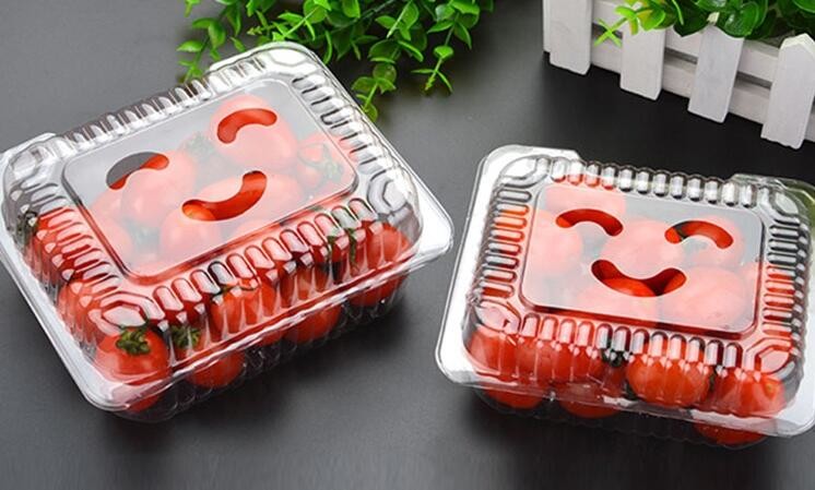 Meal Prep Containers Free Sample Bento Lunch Box Biodegradable Food Container Plastic Wheat Straw Lunch Box bagplastics