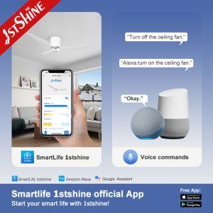 52" Plastic Ceiling Fan With Timer White Modern Low Profile Led Ceiling Fan