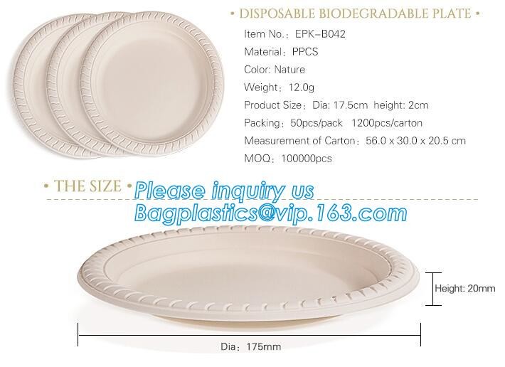 Meal Prep Containers Free Sample Bento Lunch Box Biodegradable Food Container Plastic Wheat Straw Lunch Box bagplastics