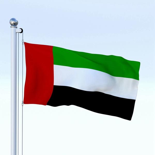 The United Arab Emirates Flag 90x150cm knitted polyester national flag outdoor