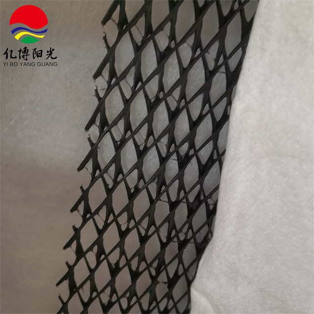 Agriculture Composite 3D Drainage Geonet Length 50m/roll Customizable as per Request