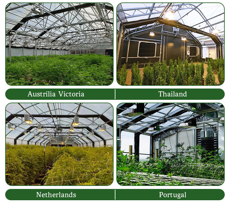 100% Shading Black Out Greenhouse Fully Automated Hydroponic Polytunnel Light Deprivation Greenhouse With Ridge Vents