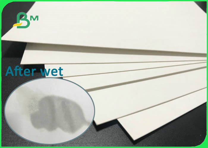 absorbent paper 