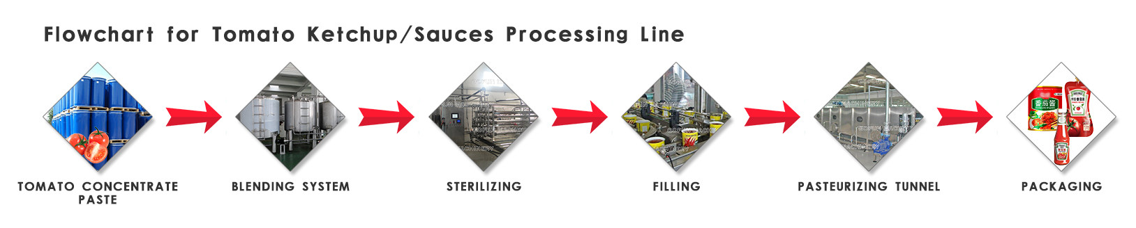 Berry Fruit SS304 1500T/D Tomato Processing Line