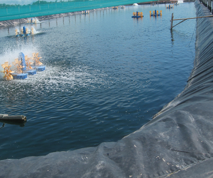 300 Micron 500 Micron 750 Micron Waterproof HDPE Geomembrane Pond Liner Reservoir Liner 100% Virgin