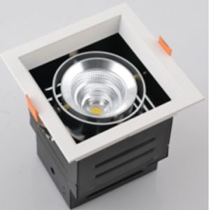  led bold lamp, high lumen led light 40watt 3000K-5000K Manufactures