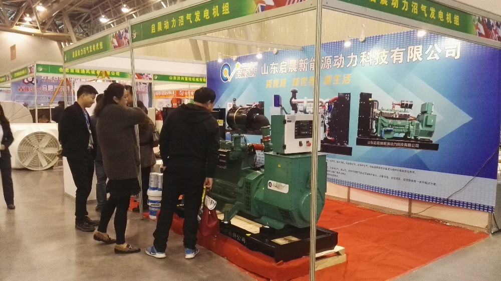 Natural Gas Generator Set 8-1500kw Generator Set for Sale