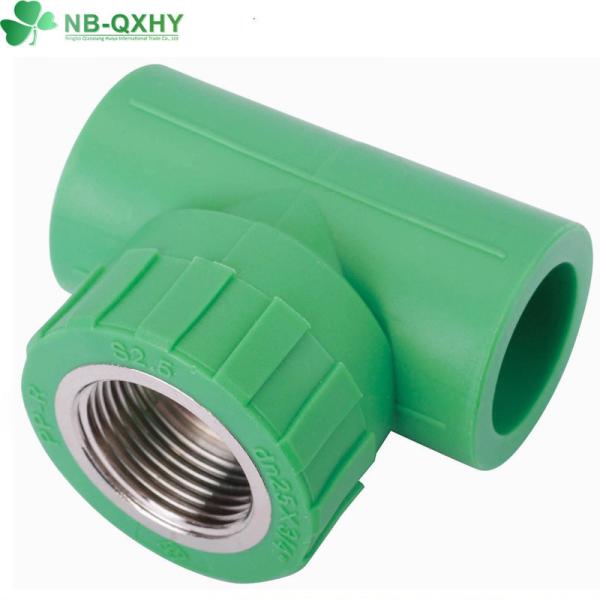 PPR Male Coupling/Male Tee Pipe Fittings with Welding Connection and Round Head