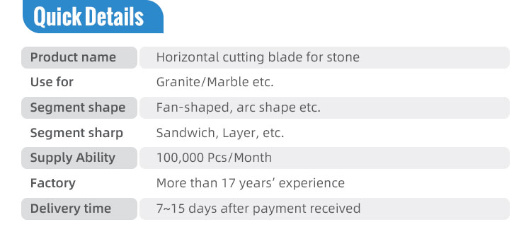10in Saw Blade for Fast Cutting Concrete Asphalt European Approved and Long-lasting