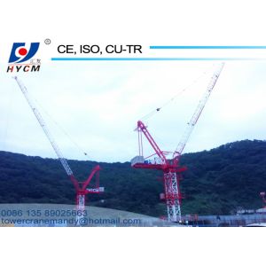10t Building Luffing Tower Crane D5020 Model 50m Long Jib 2.0t End Load 2*2*3m