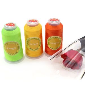 4000y Filament Polyester Embroidery Thread 120d/2 for Machine Embroidery