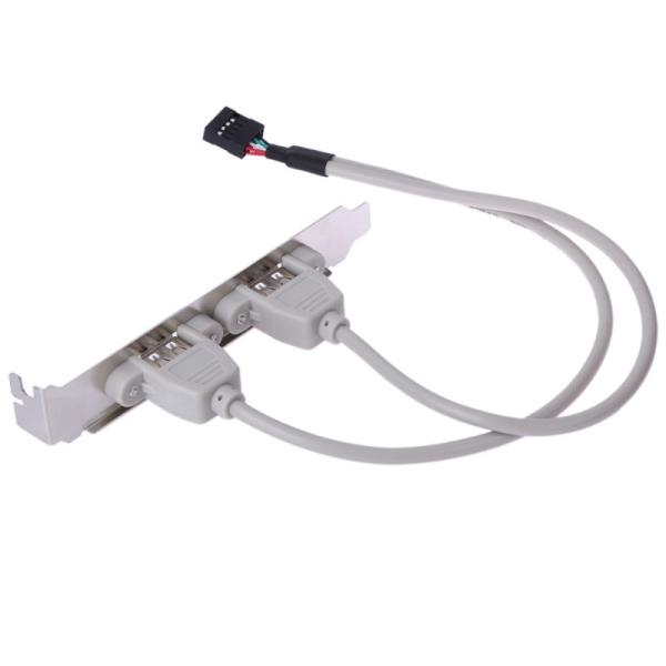 2 USB 2.0 Panel Female Connectors to 10 Pin 2.0mm , 35cm(12 inchs) length