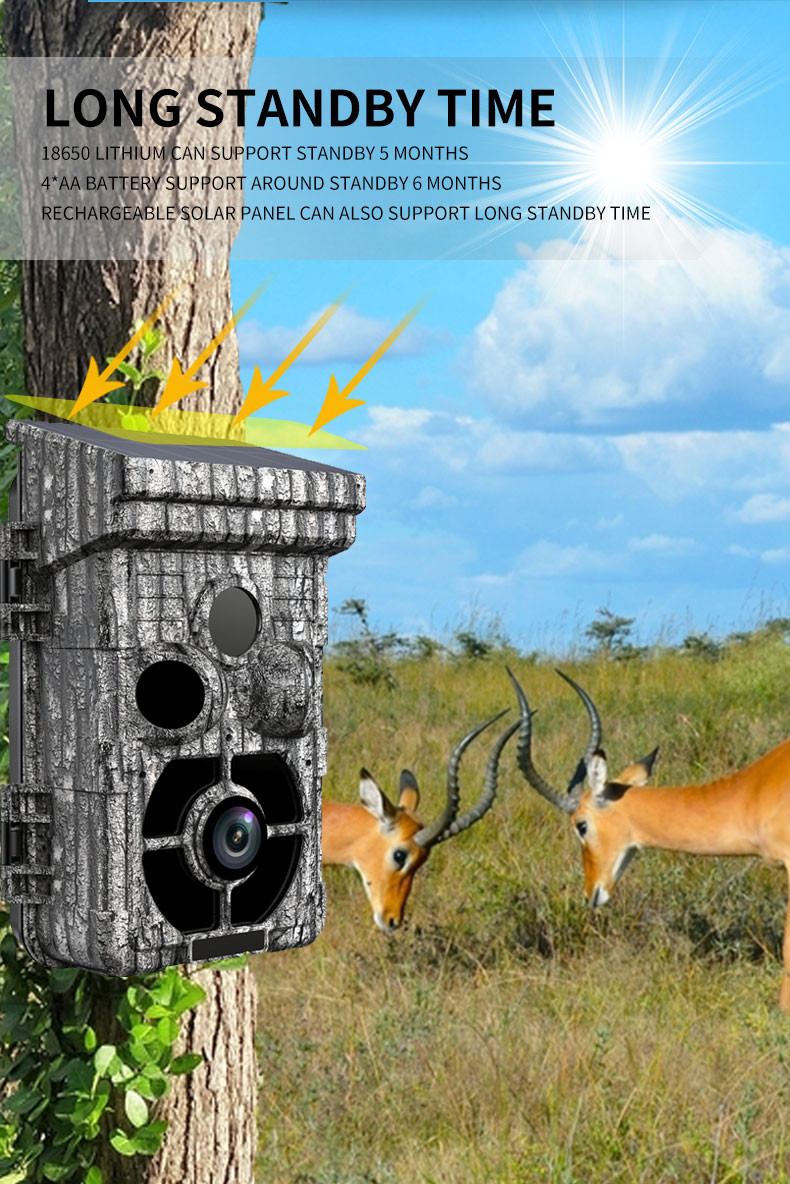 2.0" Color TFT LCD 42MP Hunting Game Camera Waterproof IP65 20 Meters Long Night Range