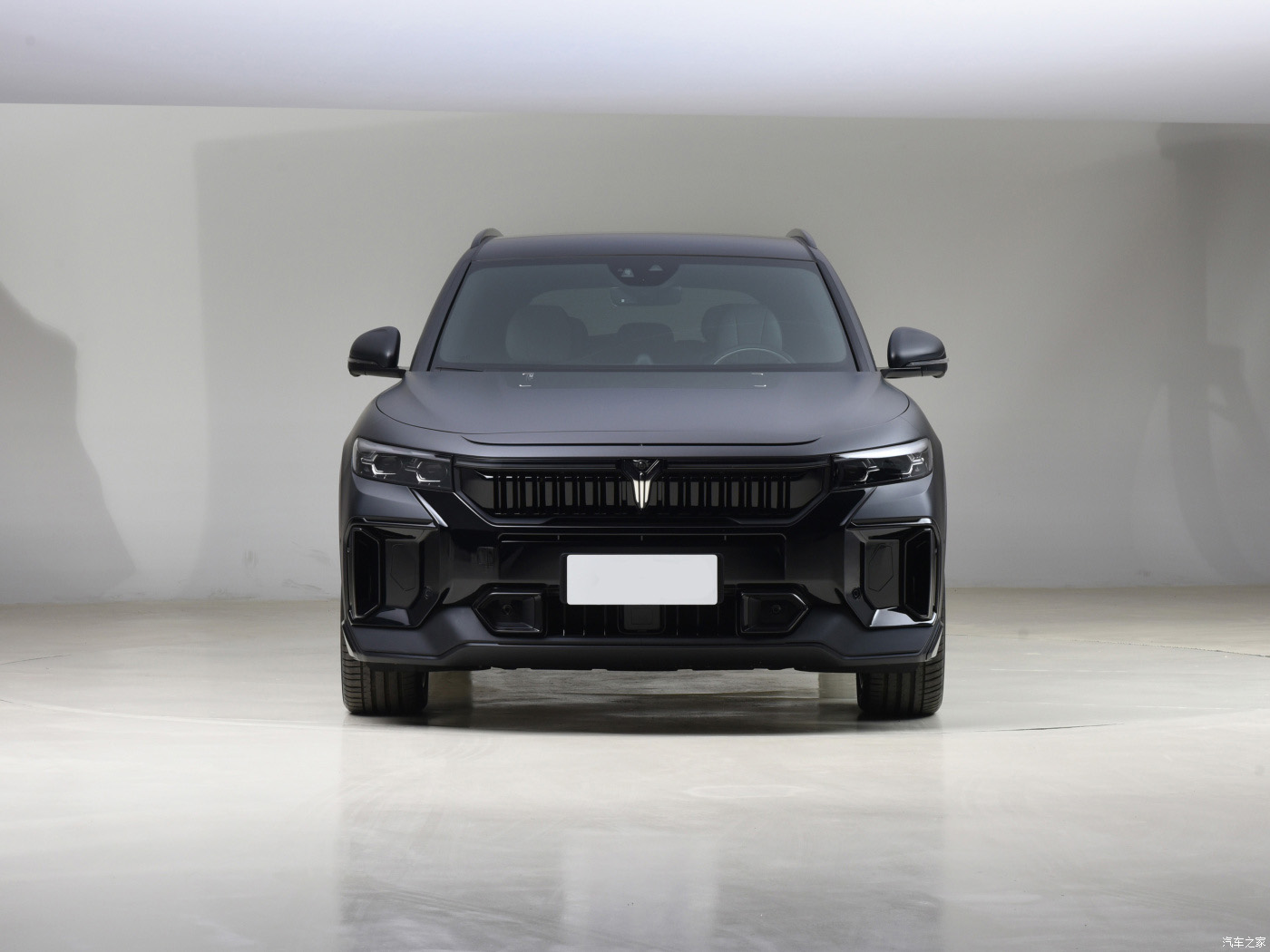 320kW Total Motor Power 360 Degree Parking Camera System Zero Carbon Home 430KM Version EV Car for Customer Requirements