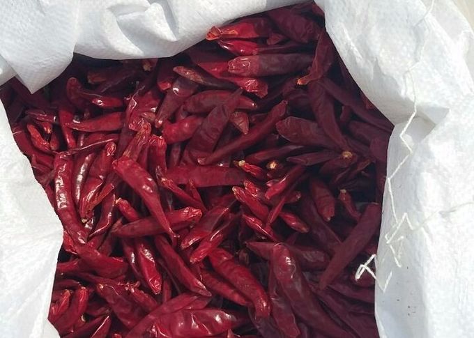 Strong Pungent Red Bullet Chilli Without Stem Dehydrating 30000 Shu