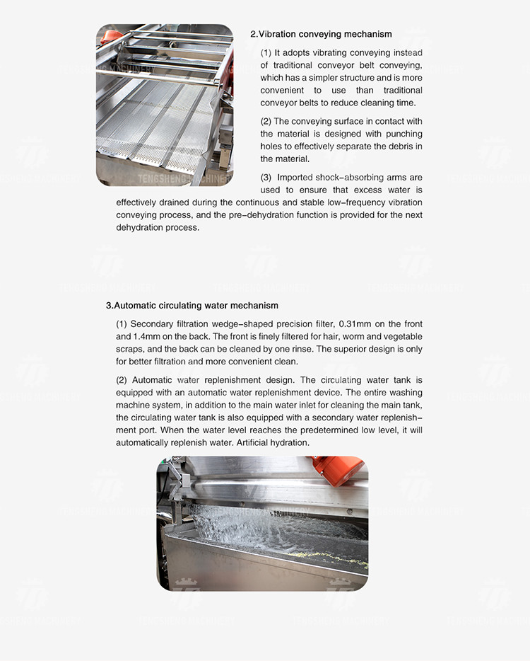 2400L 1800KG/H Fruit Vegetable Washing Line With Swirling Bubbles
