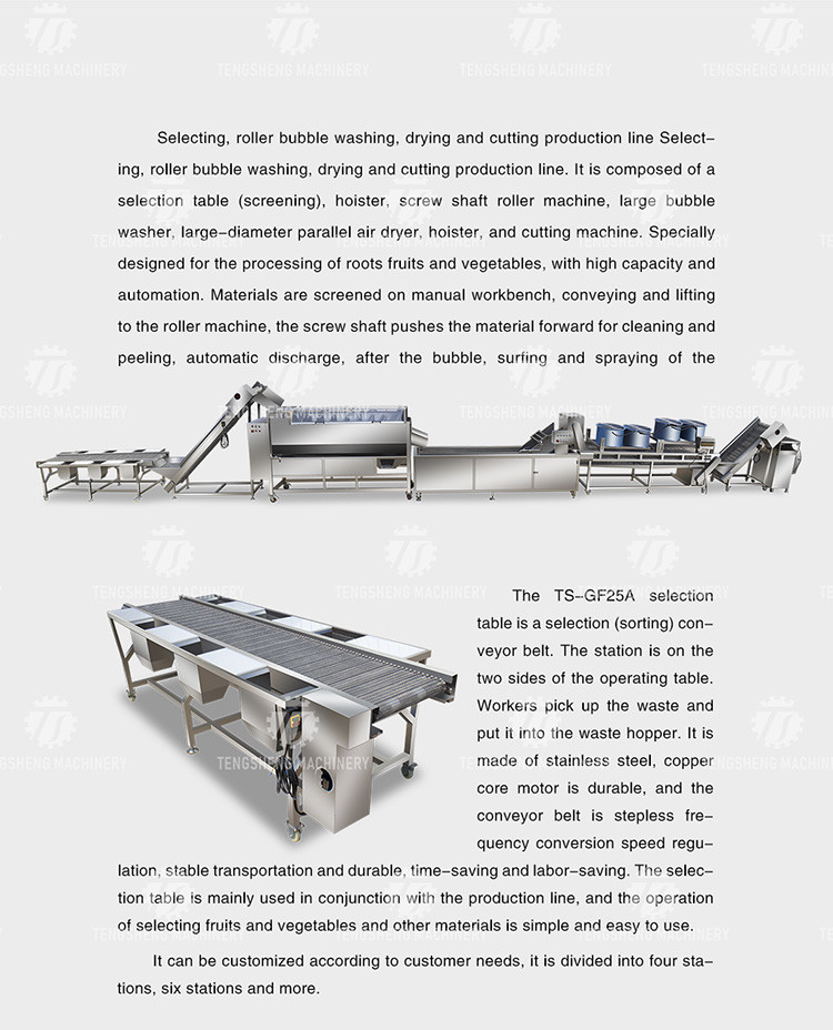 Stainless Steel Fruit And Vegetable Processing Line Potato Picking Hair Roller Bubble Washing Machine