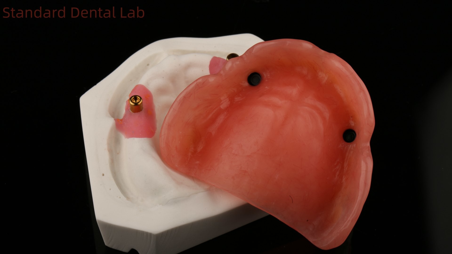 Dentsply Lucitone 199 Acrylic Denture For Full Arch Natural Look