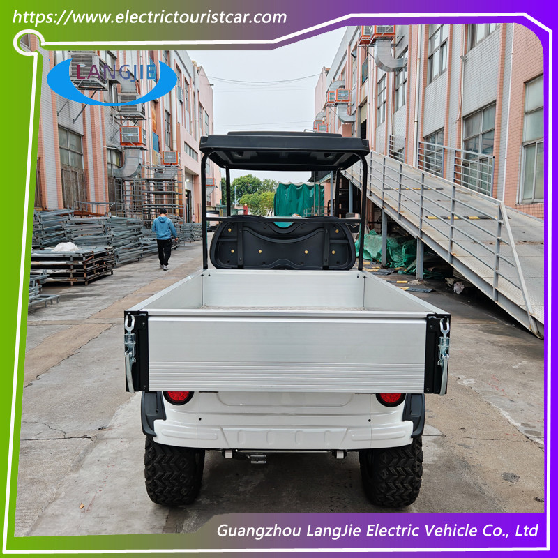 48V Motor Electric Utility Golf Cart 2 Person Electric Baggage Cart With Cargo For Hotel