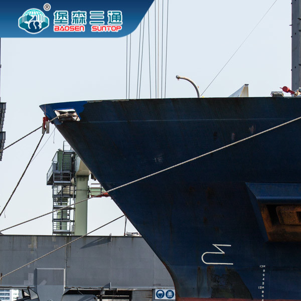 Door To Door FBA International Shipping Agent DDP From China