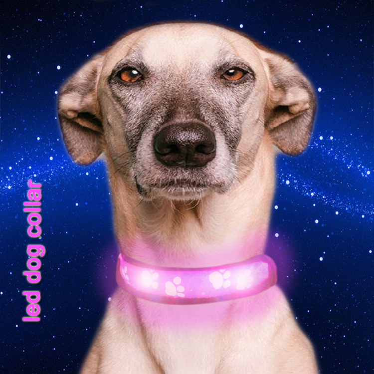 C903 Wholesale Nylon Safety Usb Luminous Dog Collar with Led Light