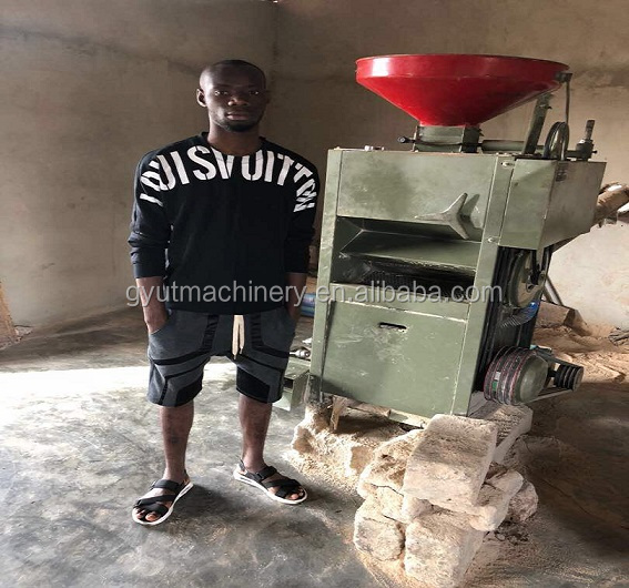 Small Mini Rice Milling Machine 1 Ton Capacity with Automatic Paddy Husker