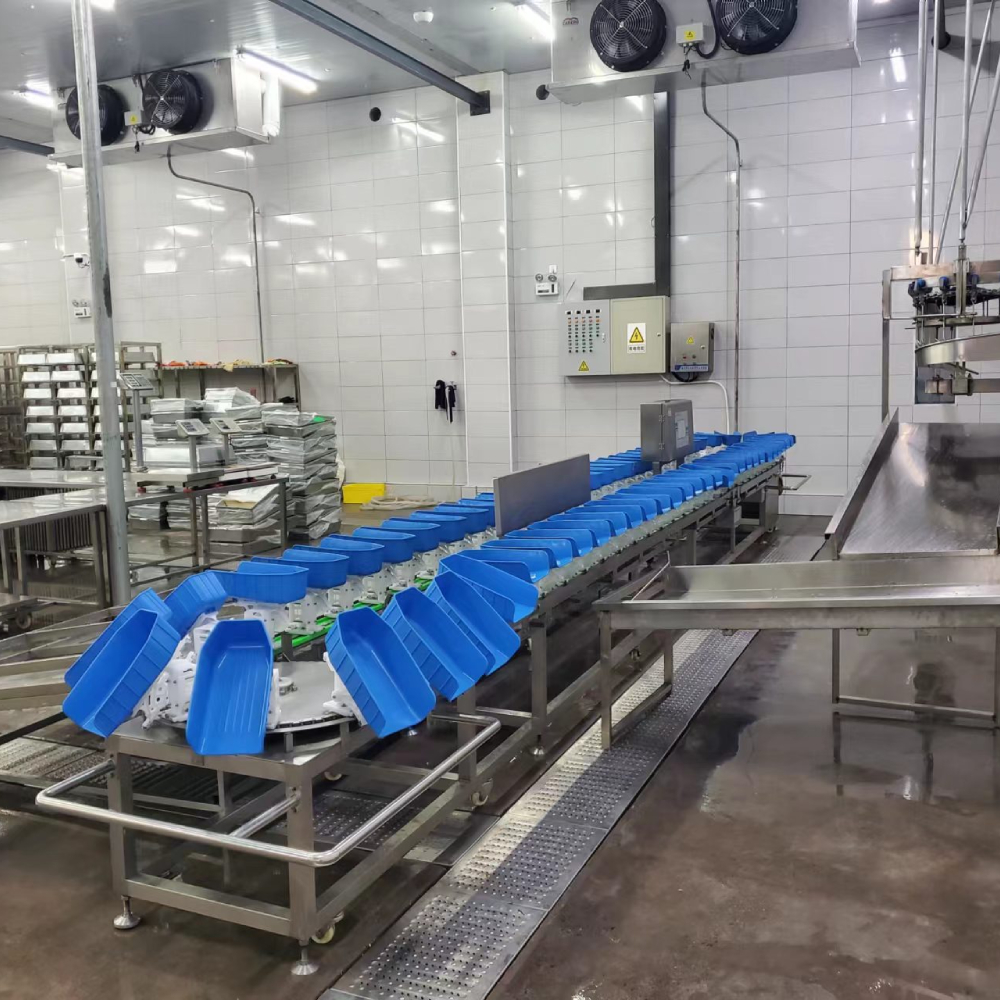 1000 - 6000BPH Weight Sorting Machine For Chicken Slaughtering Line