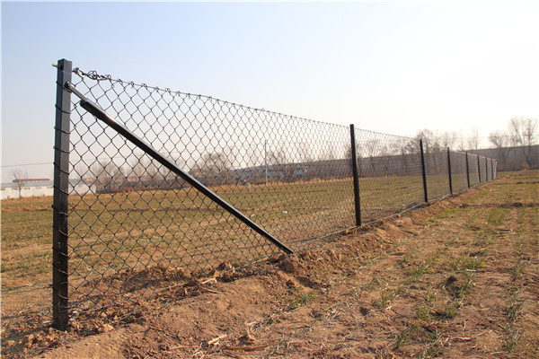 2.1mx10mx50x50mm galvanized steel 8 foot chain link fence from ". Victoria "
