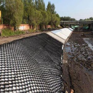 Textured And Perforated Plastic Honeycomb HDPE Geocell Gravel Grid For Road