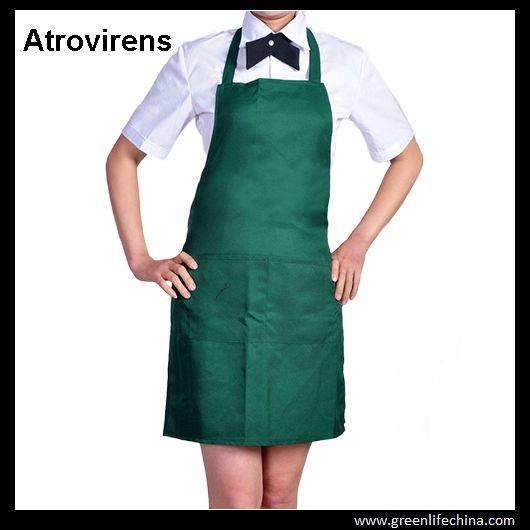 Atrovirens dark green fashion color advertising cheap good apron with 2pcs front