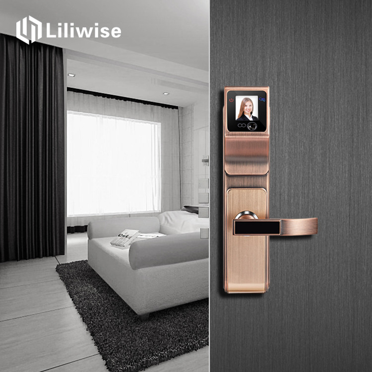 Smart IR 3D Face Recognition Electronic Door Locks / Keyless Entry Door Handle Locks
