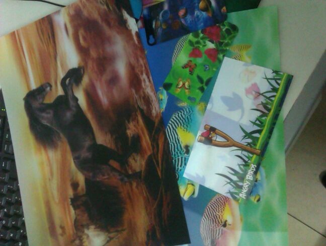 PLASTIC LENTICULAR PET lenticular material plastic sheet 3d business card printing