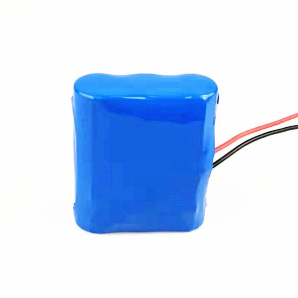 26.4Wh 2200mAh Small 12 Volt Lithium Battery