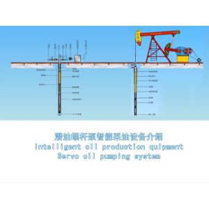  Remote Intelligent Control No Leakage Submersible Servo Oil Pumping System Manufactures