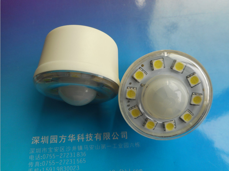 PIR Intelligent Human Body Induction Lamp New Pattern Ball Bubble Sensor