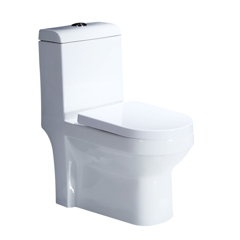 Seamless Porcelain One Piece Elongated Water Closet With Easy To Clean