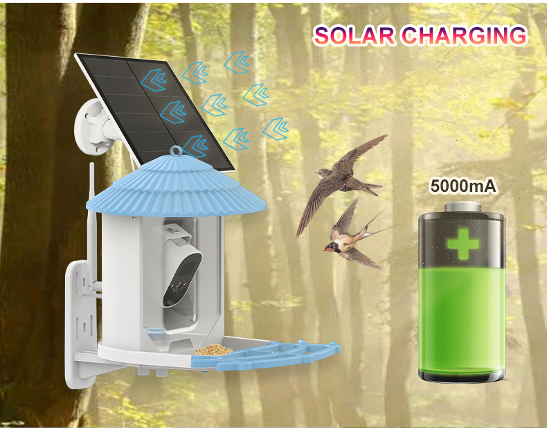 IP66 Waterproof 4MP Smart Bird Feeder 2.5L Wildlife Smart Bird Camera
