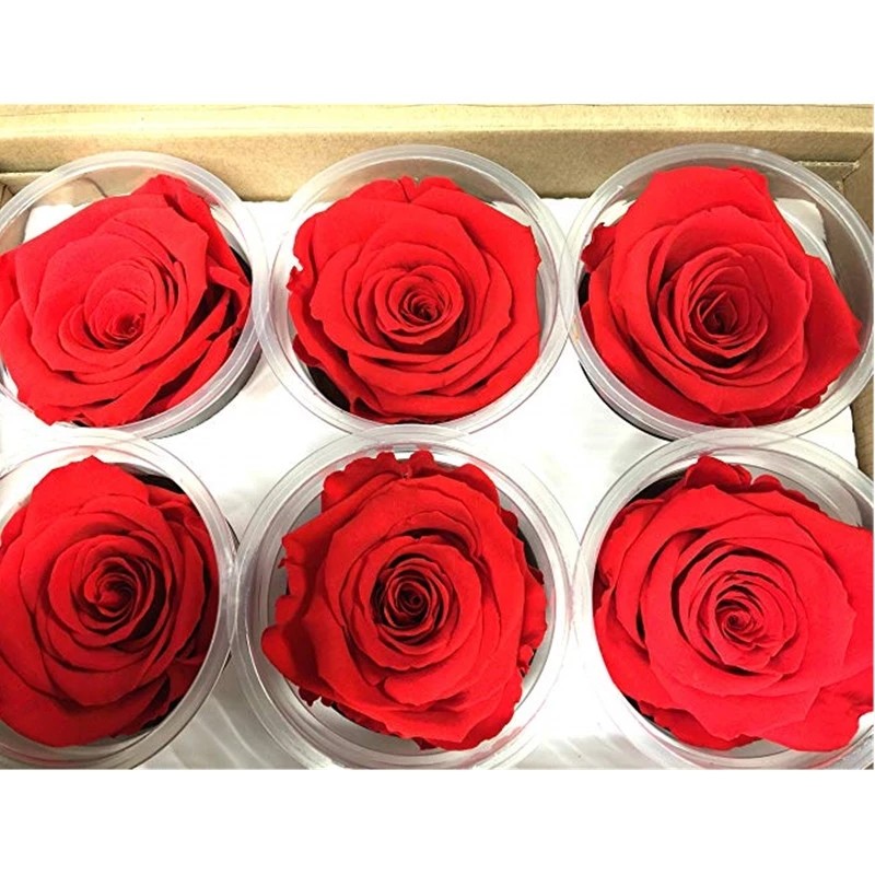 Wholesale 6-7cm preserved flower dried roses natural stabilized rose