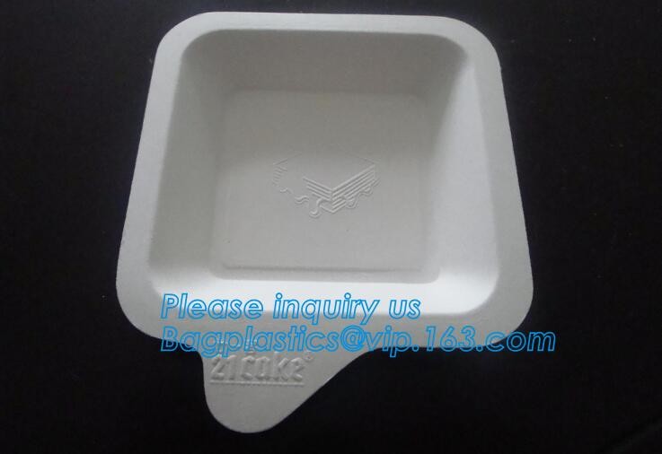 Meal Prep Containers Free Sample Bento Lunch Box Biodegradable Food Container Plastic Wheat Straw Lunch Box bagplastics