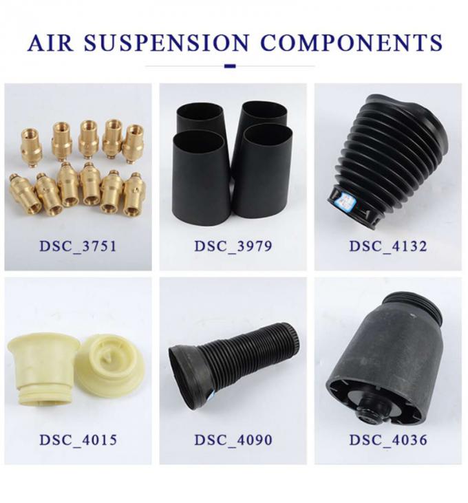 37126785537 37126785538 Automotive Air Spring Strut For BMW E66 E65 Suspension Shock Absorber 6