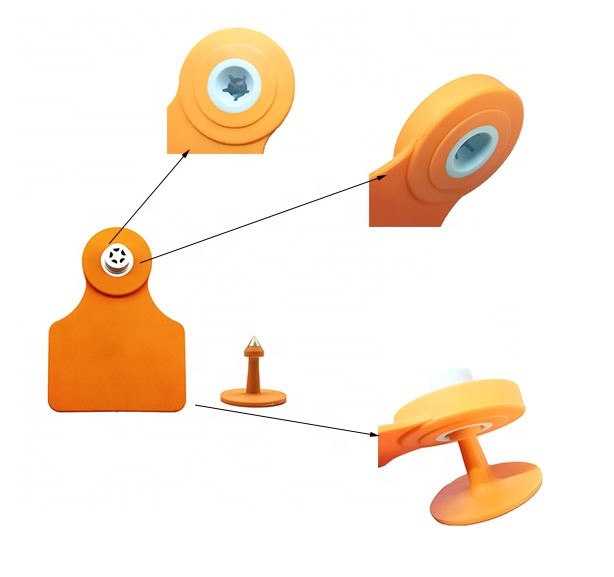 TPU RFID Cattle Management Tags Waterproof For Livestock