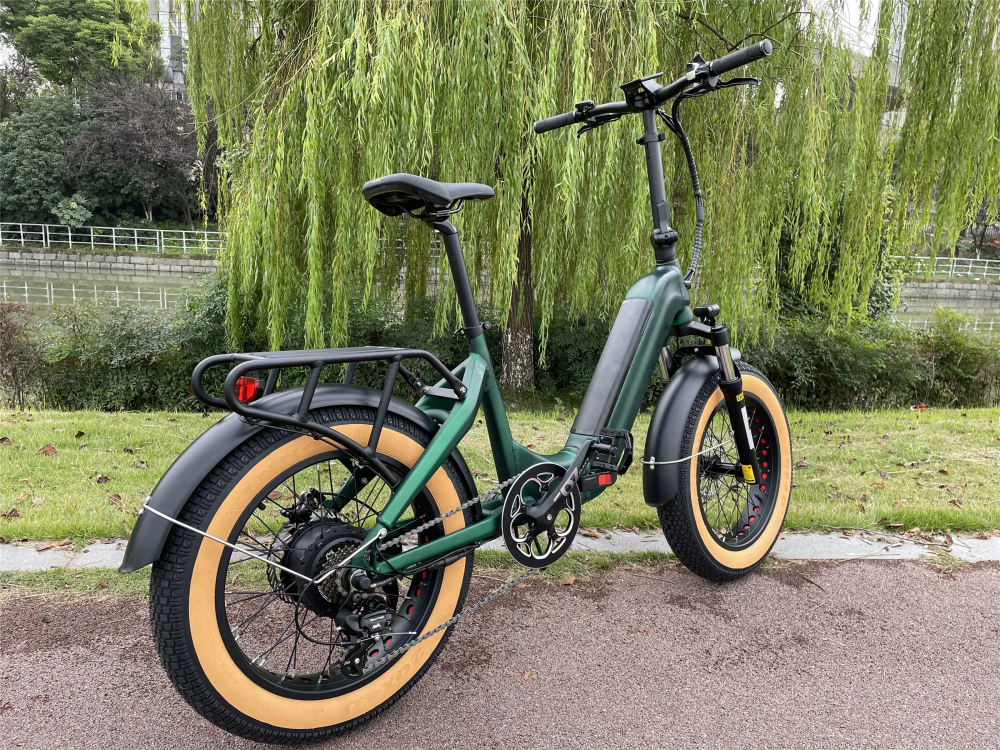 20 Inch Retro Folding Step Thru Electric Bike 48V 750W With LCD Display