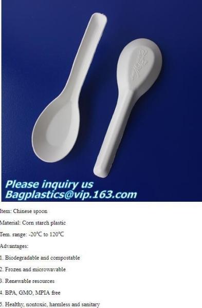 spoon, folk, knife, tray, disposable plate deli tray, biodegradable breakfast