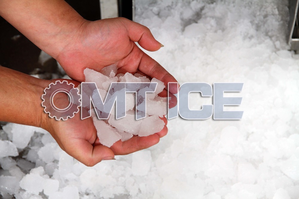 High Productivity Block Ice Crusher Erosion Resistant Smooth Operation