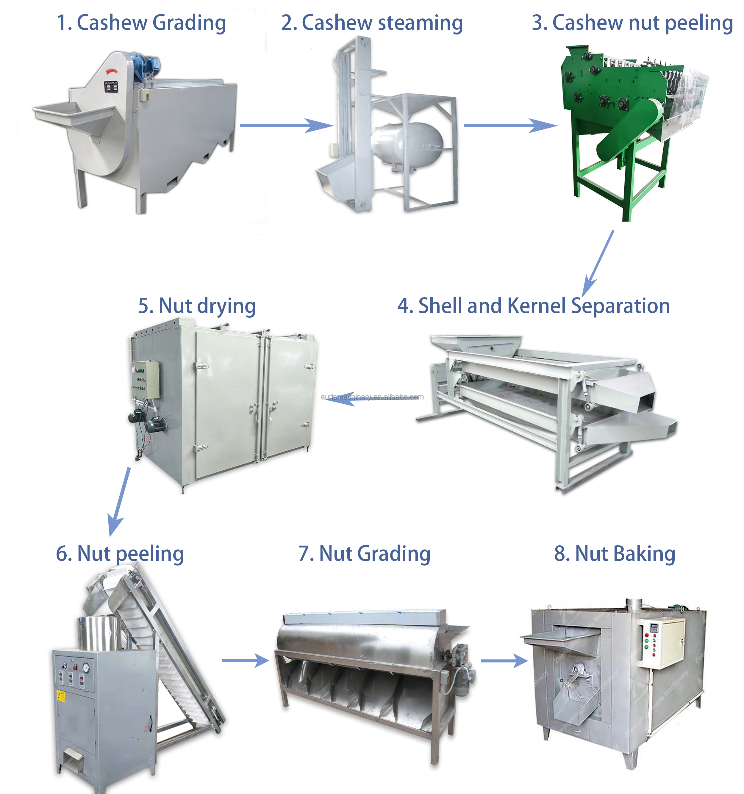 Roasting Dryer Nuts Processing Machine Peeling Cashew Grading Machine