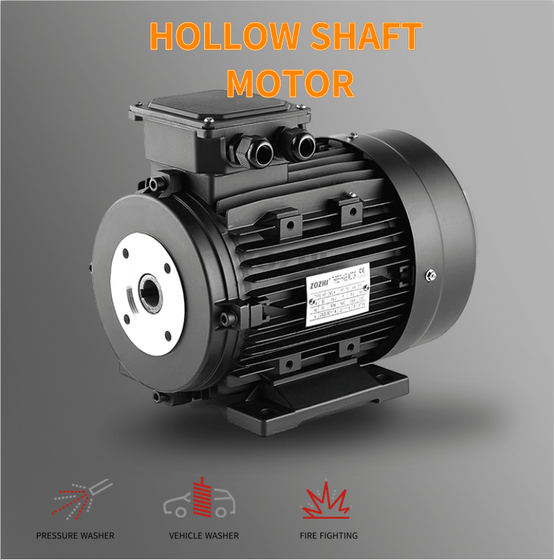 hollow shaft electric motor