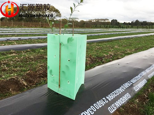 China Lightweight Foldable Triangular Corflute Tree Guards on sale China Lightweight Foldable Triangular Corflute Tree Guards on sale